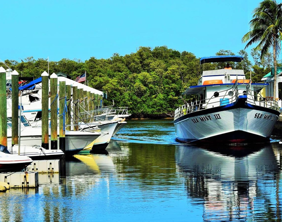 2018 Discover_Marina_photo_cropped_ver1.jpg